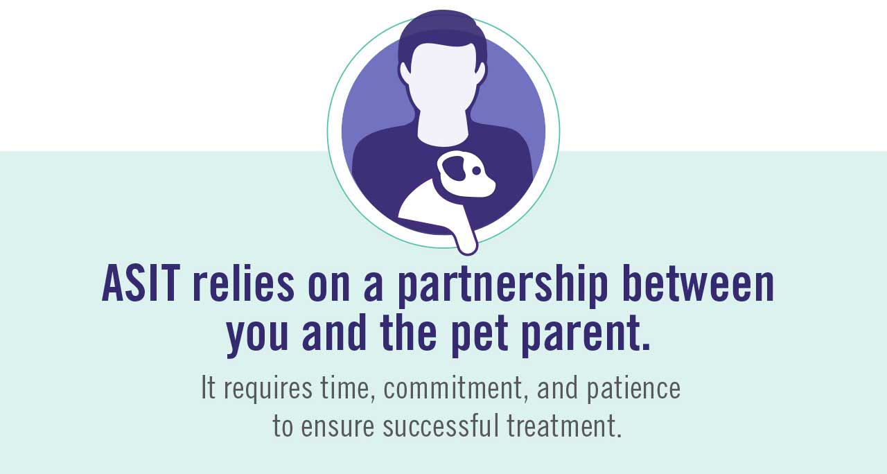 ASIT relies on a partnership between you and the pet parent. It requires time, commitment, and patience to ensure successful treatment